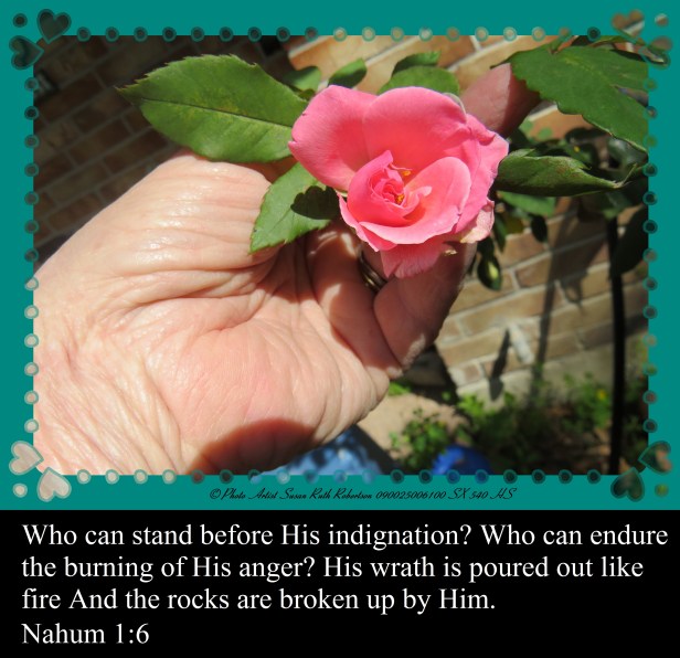 © Photo Artist Susan Ruth Robertson 090025006100 SX 540 HS 006 - Copy.JPG