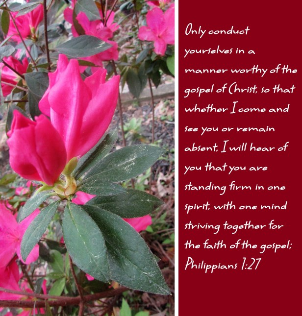 © Photo Artist Susan Ruth Robertson 090025006100 SX 540 HS 009.JPG