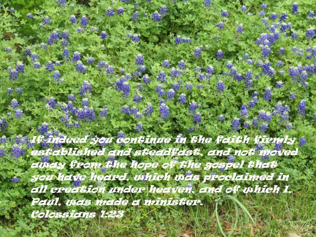 © Photo Artist Susan Ruth Robertson 090025006100 SX540HS 015 - Copy.JPG