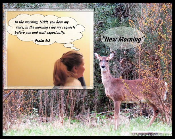 © Photo Artist Susan Ruth Robertson 090025006100 SX540HS 060 - Copy.JPG