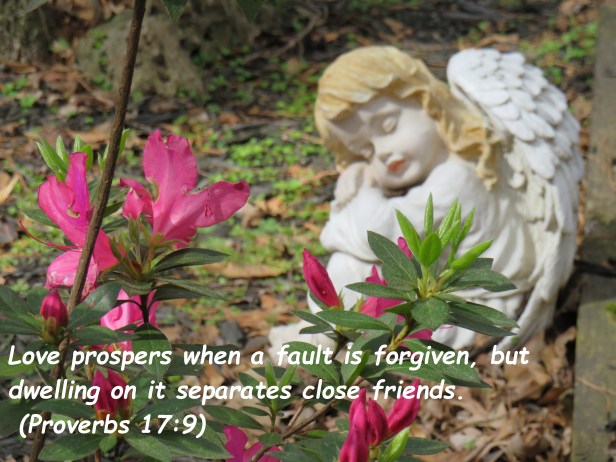 © Photo Artist Susan Ruth Robertson 090025006100 SX540HS 074 - Copy.JPG