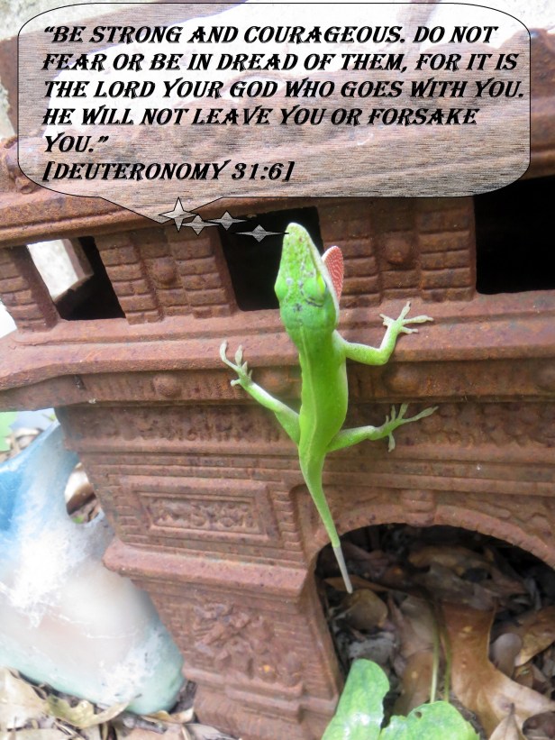 SX260HS 031 - Copy.JPG