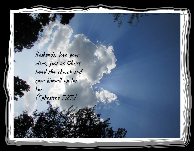 SX400 IS © Photo Artist Susan Ruth Robertson 090025006100 016 - Copy.JPG