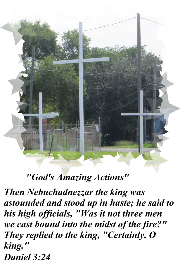 © Photo Artist Susan Ruth Robertson 090025006100 002