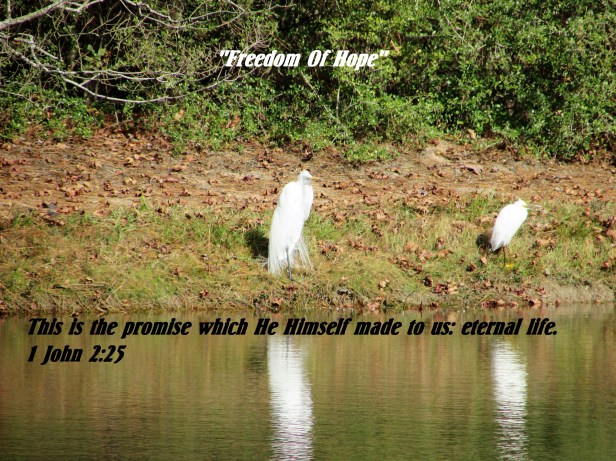 © Photo Artist Susan Ruth Robertson 090025006100 005.JPG