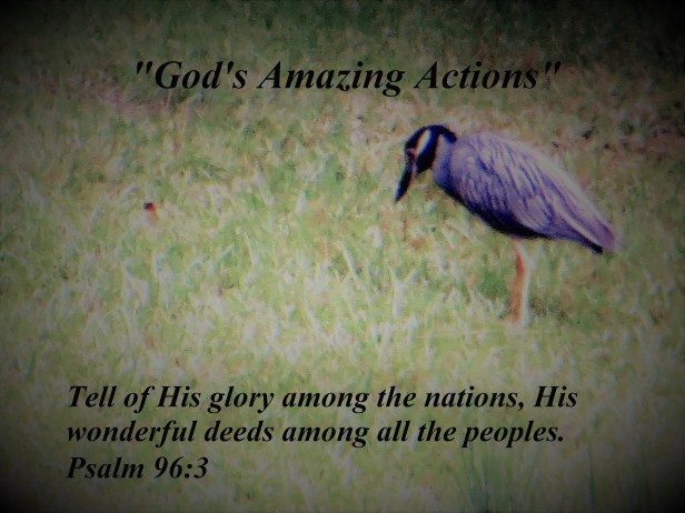 © Photo Artist Susan Ruth Robertson 090025006100 008.JPG