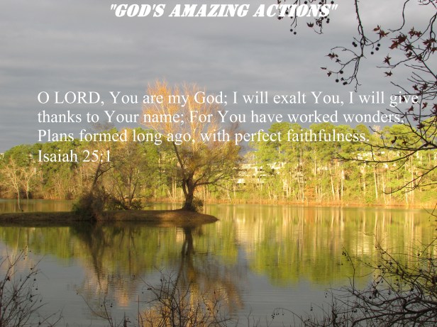 © Photo Artist Susan Ruth Robertson 090025006100 037 - Copy.JPG