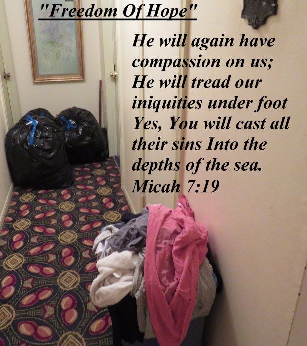 © Photo Artist Susan Ruth Robertson 090025006100 SX 540 HS 004.JPG