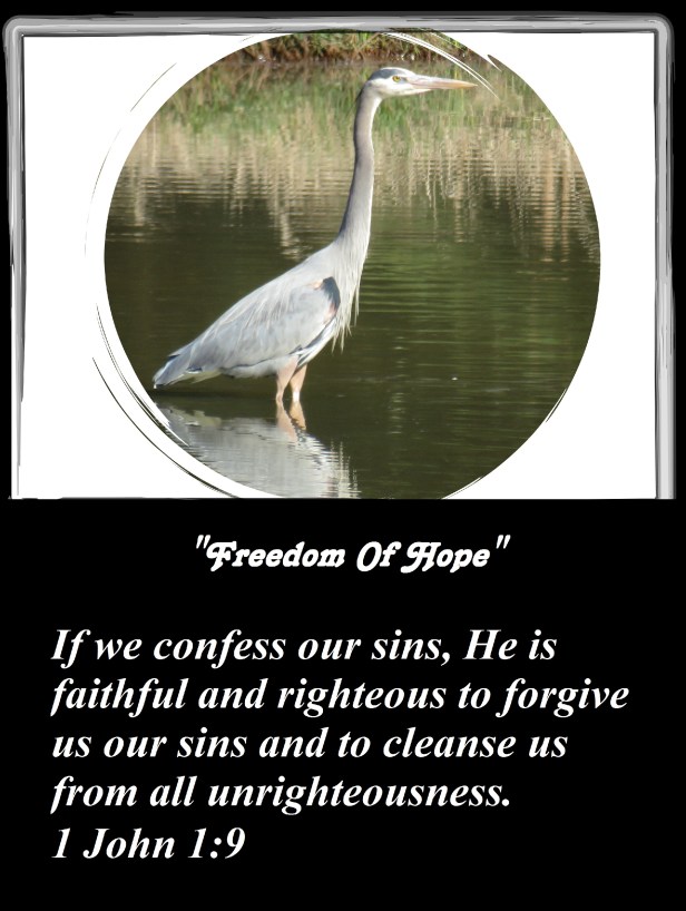 © Photo Artist Susan Ruth Robertson 090025006100 SX 540 HS 009 - Copy (3).JPG