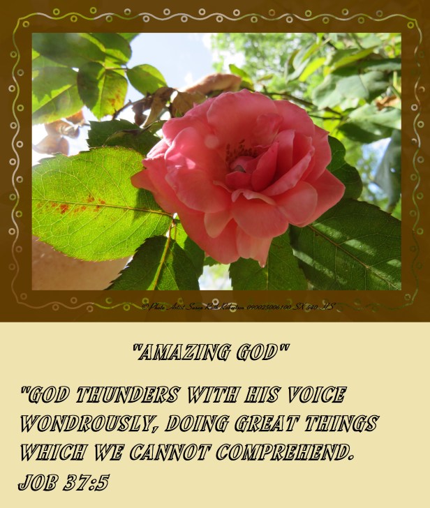 © Photo Artist Susan Ruth Robertson 090025006100 SX 540 HS 016.JPG