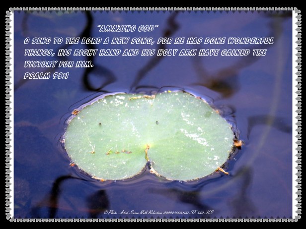 © Photo Artist Susan Ruth Robertson 090025006100 SX 540 HS 020 - Copy - Copy.JPG