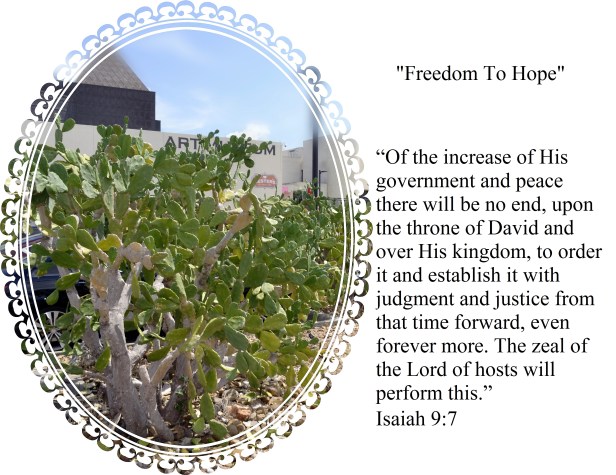 © Photo Artist Walter Robertson Sr.  (13) - Copy.JPG