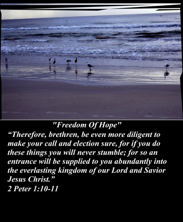 © Susan Ruth Robertson 090025006100 001 - Copy.JPG