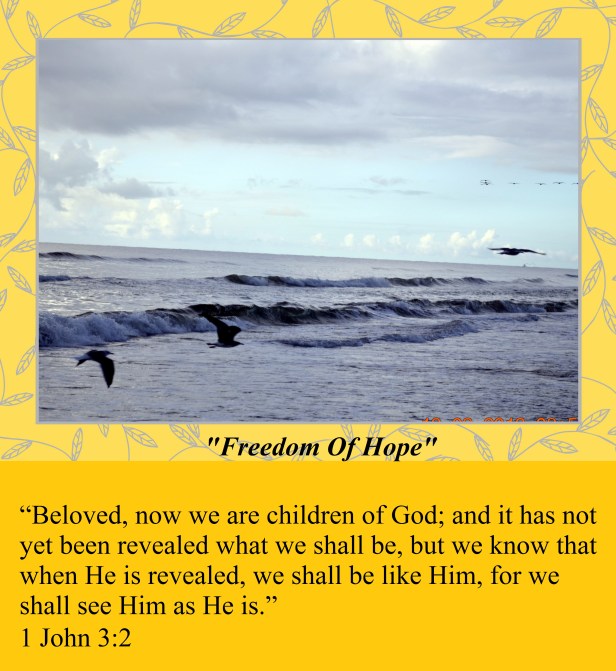 © Susan Ruth Robertson 090025006100 016 - Copy.JPG