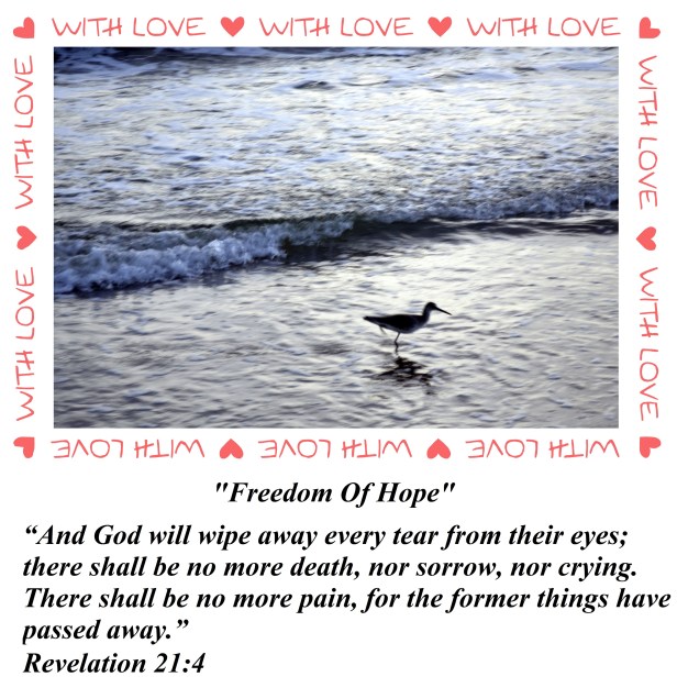 © Susan Ruth Robertson 090025006100 022 - Copy.JPG