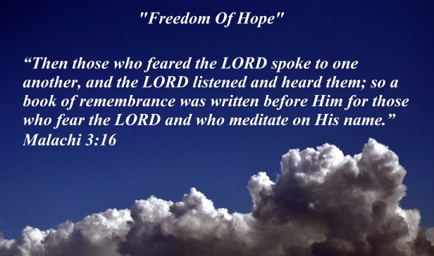 © Susan Ruth Robertson 090025006100 110 - Copy - Copy - Copy.JPG