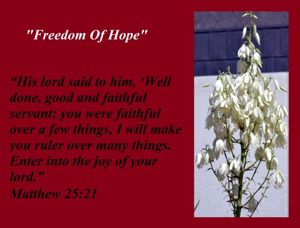 © Susan Ruth Robertson 090025006100 139 - Copy