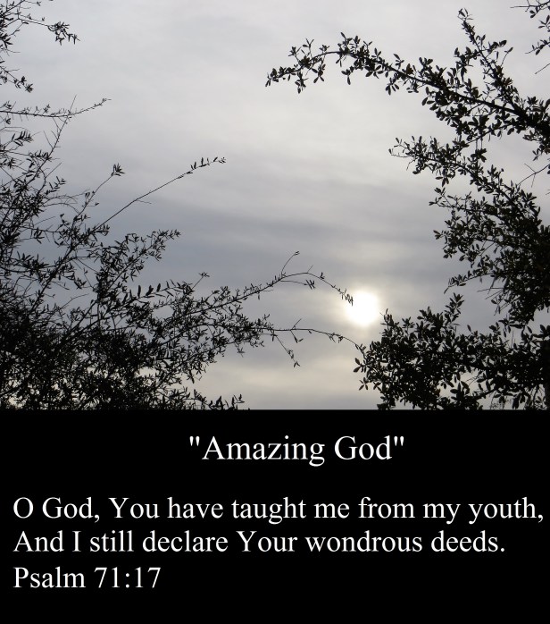 Photo Artist Susan R. Robertson (22) - Copy.JPG