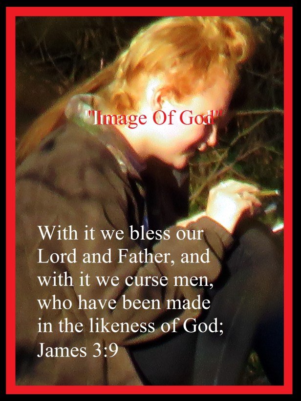 © Photo Artist Susan Ruth Robertson 090025006100 003.JPG