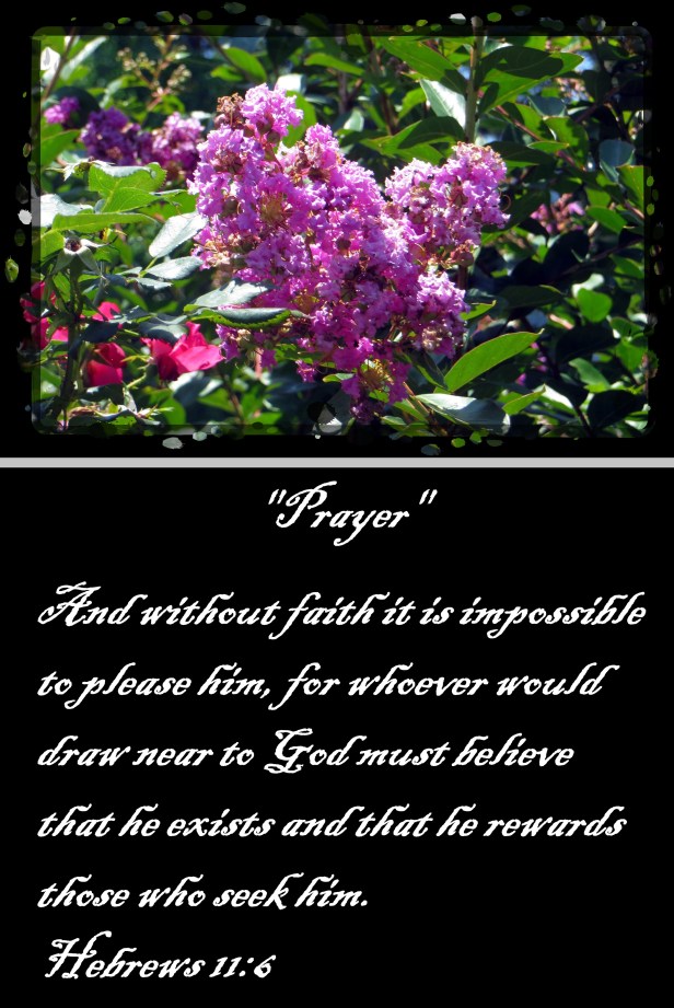 © Photo Artist Susan Ruth Robertson 090025006100 010 - Copy.JPG