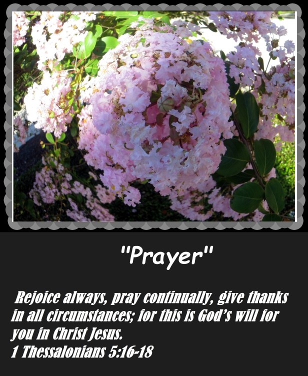 © Photo Artist Susan Ruth Robertson 090025006100 048 - Copy.JPG