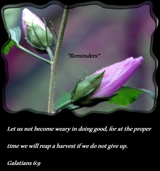 © Photo Artist Susan Ruth Robertson 090025006100  (18).JPG