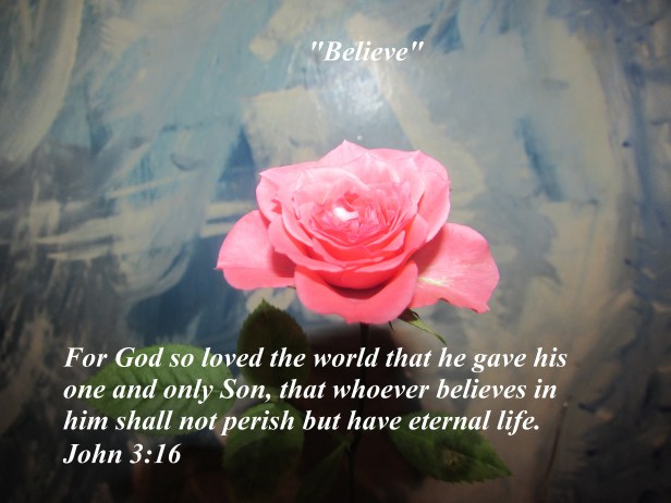 © Photo Artist Susan Ruth Robertson 090025006100 SX 400 IS (24) - Copy.JPG