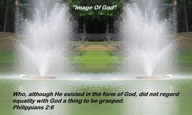 © Photo Artist Susan Ruth Robertson 090025006100 SX540HS 030 - Copy.JPG