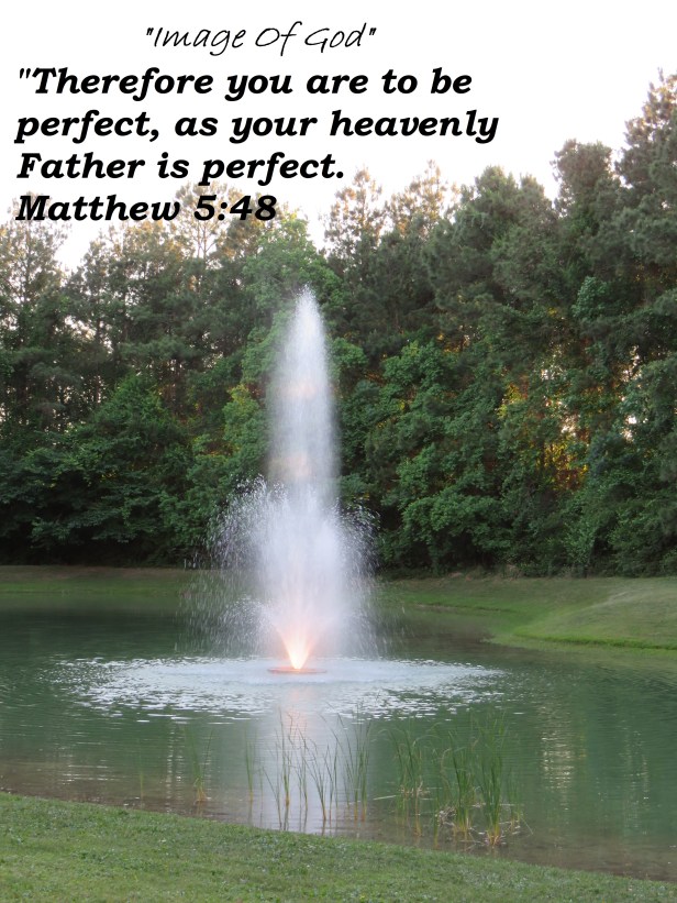 © Photo Artist Susan Ruth Robertson 090025006100 SX540HS 056 - Copy.JPG