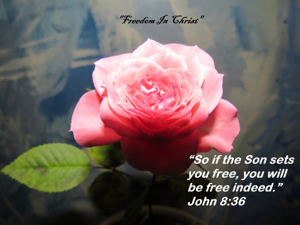 © Photo Artist Susan Ruth Robertson 090025006100 SX540HS 097.JPG