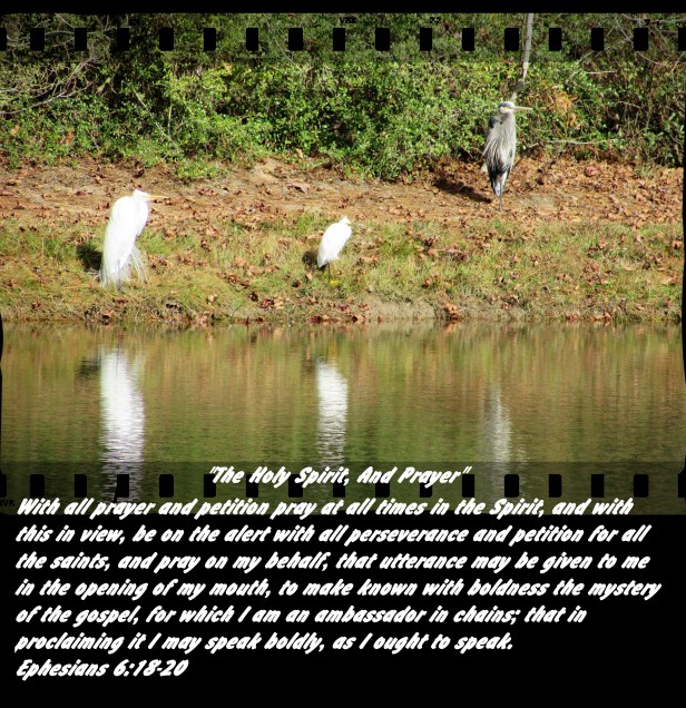 © Photo Artist Susan Ruth Robertson 090025006100 002 - Copy.JPG