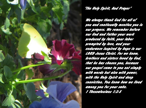 © Photo Artist Susan Ruth Robertson 090025006100 029.JPG