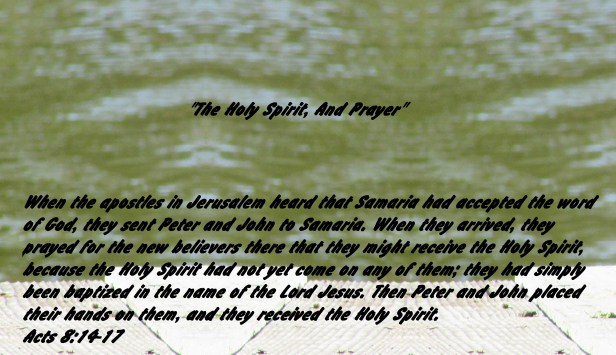 © Photo Artist Susan Ruth Robertson 090025006100 064 - Copy - Copy (2).JPG