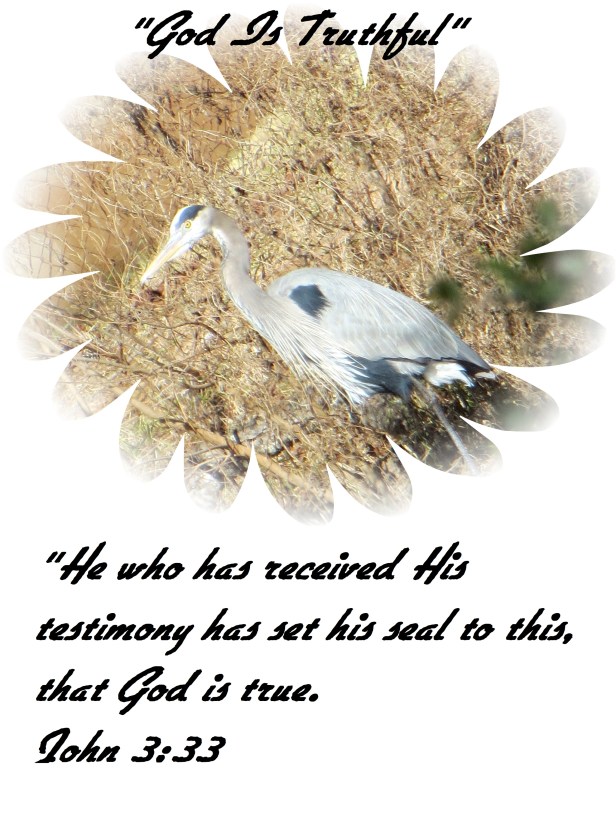 Photo Artist Susan Robertson (50) - Copy.JPG