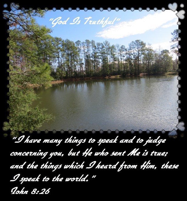 Photo Artist Susan Robertson (52) - Copy.JPG