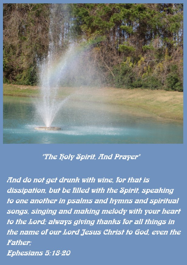 Photo Artist Susan Robertson all Rights Reserved 030 - Copy.JPG