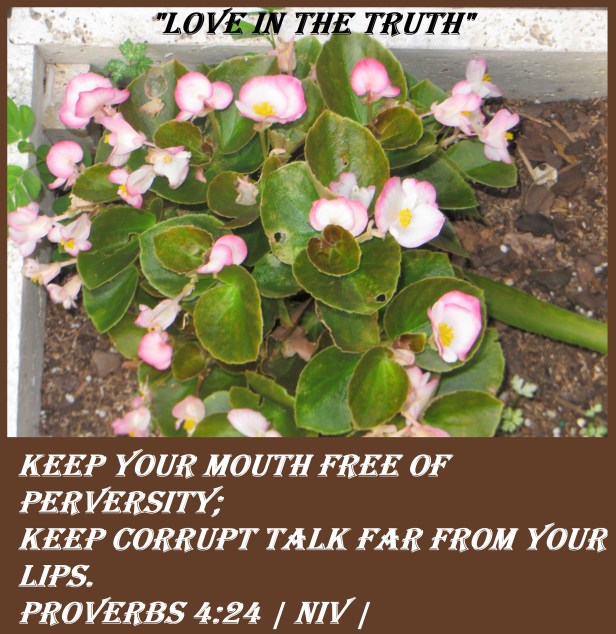© Photo Artist Susan ruth Robertson 09002500100 077 - Copy.JPG