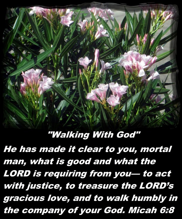 © Photo Artist Susan Ruth Robertson 090025006100 020 - Copy.JPG