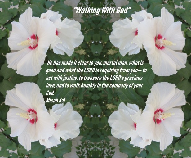 © Photo Artist Susan Ruth Robertson 090025006100 SX 400 IS (6) - Copy.JPG