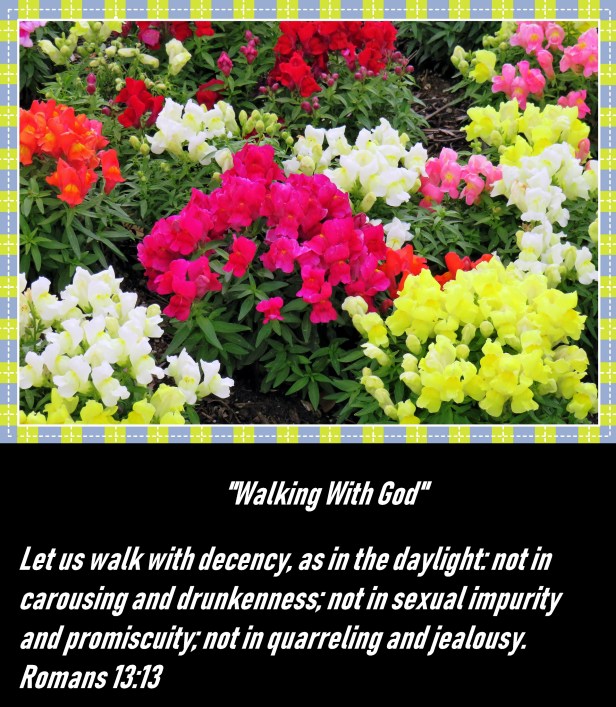 © Photo Artist Susan Ruth Robertson 090025006100 SX 540 HS 079 - Copy.JPG