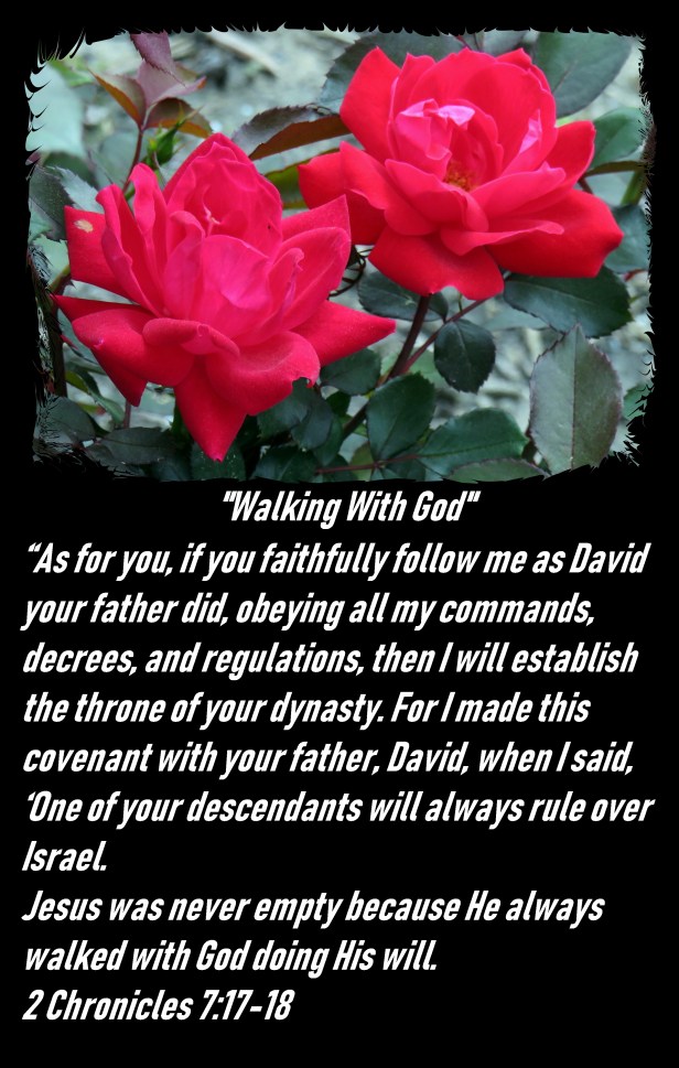 © Photo Artist Susan Ruth Robertson 090025006100 SX 540 HS 080 - Copy.JPG