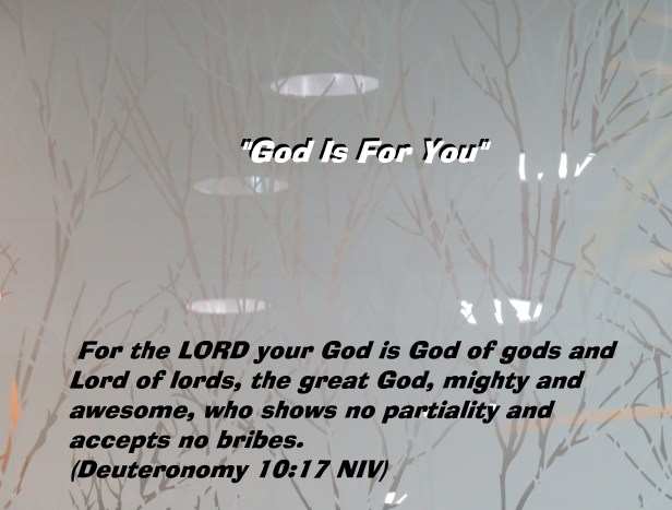 © Photo Artist Susan Ruth Robertson 090025006100 SX 400 IS  (15).JPG