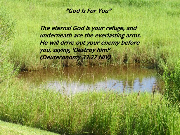 © Photo Artist Susan Ruth Robertson 090025006100 SX540HS 0 023 - Copy.JPG