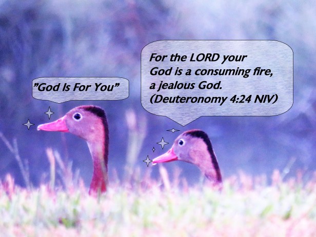 © Photo Artist Susan Ruth Robertson 090025006100 SX540HS 006 - Copy.JPG