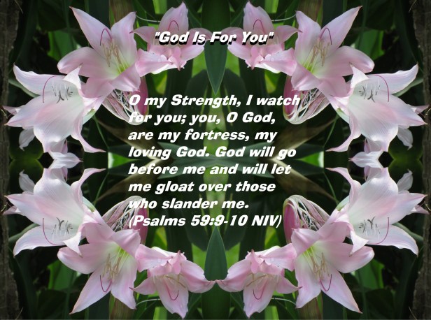 IMG_7462 - Copy - Copy.JPG