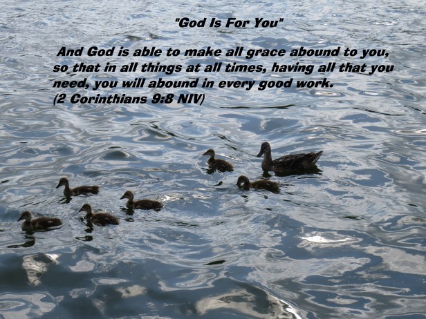 IMG_4139© Photo Artist Susan Ruth Robertson 090025006100 SX 400 IS  (52) - Copy.JPG