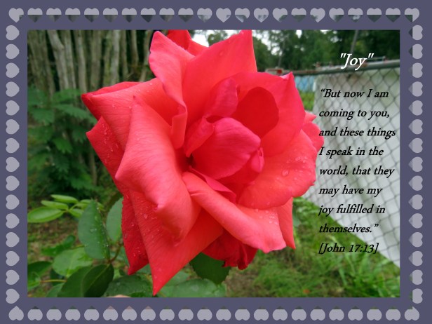 © Photo Artist Susan Ruth Robertson 090025006100  (28) - Copy.JPG