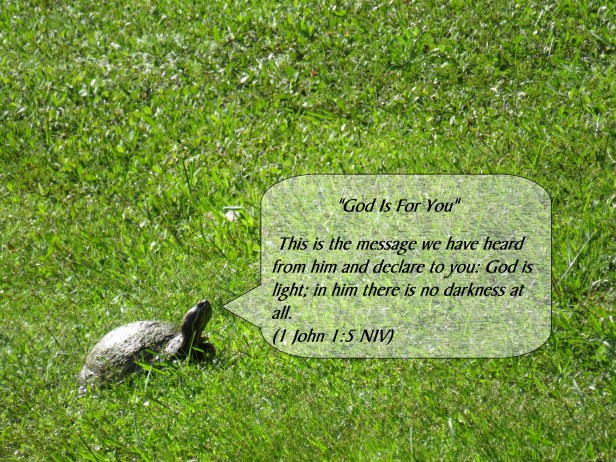 © Photo Artist Susan Ruth Robertson 090025006100 SX 400 IS (10).JPG