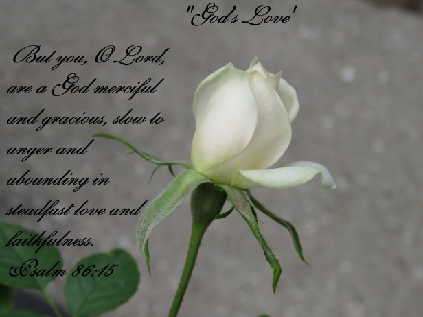 © Photo Artist Susan Ruth Robertson 090025006100 SX 400 IS (105).JPG