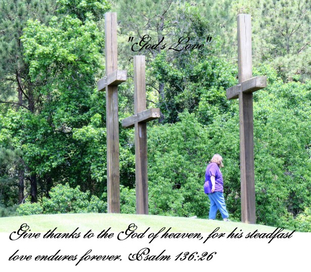 © Photo Artist Susan Ruth Robertson 090025006100 SX 400 IS (46).JPG